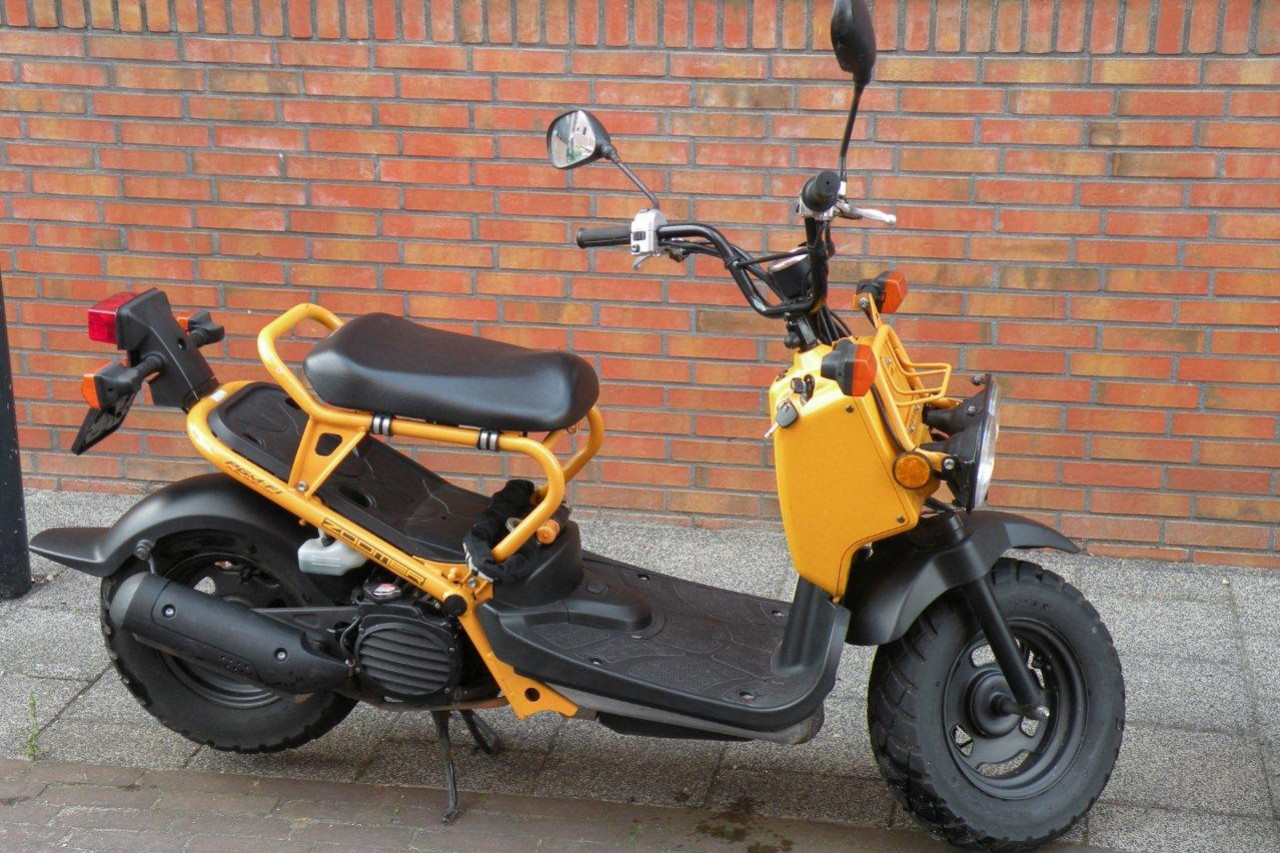 Honda zoomer 50 Ruckus