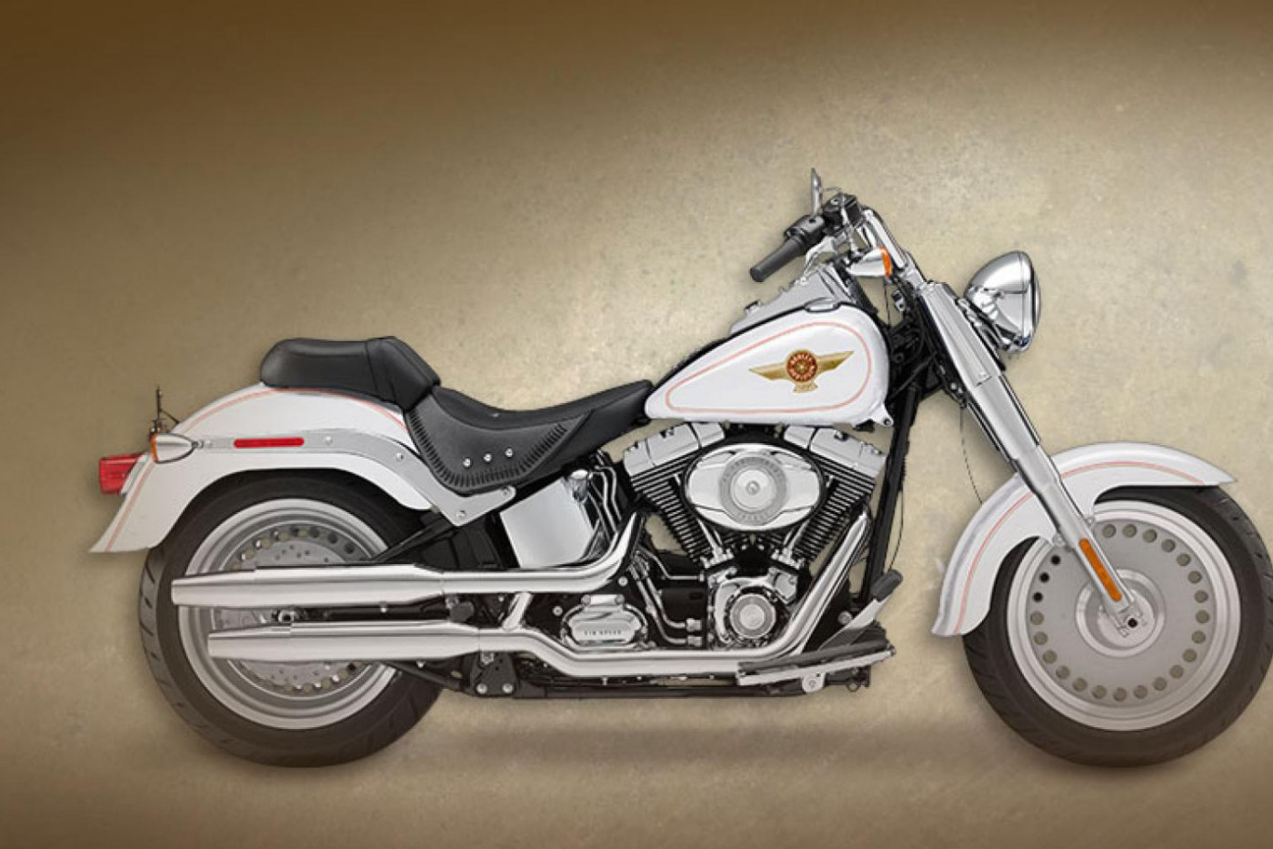 Harley Davidson Softail Custom 2009