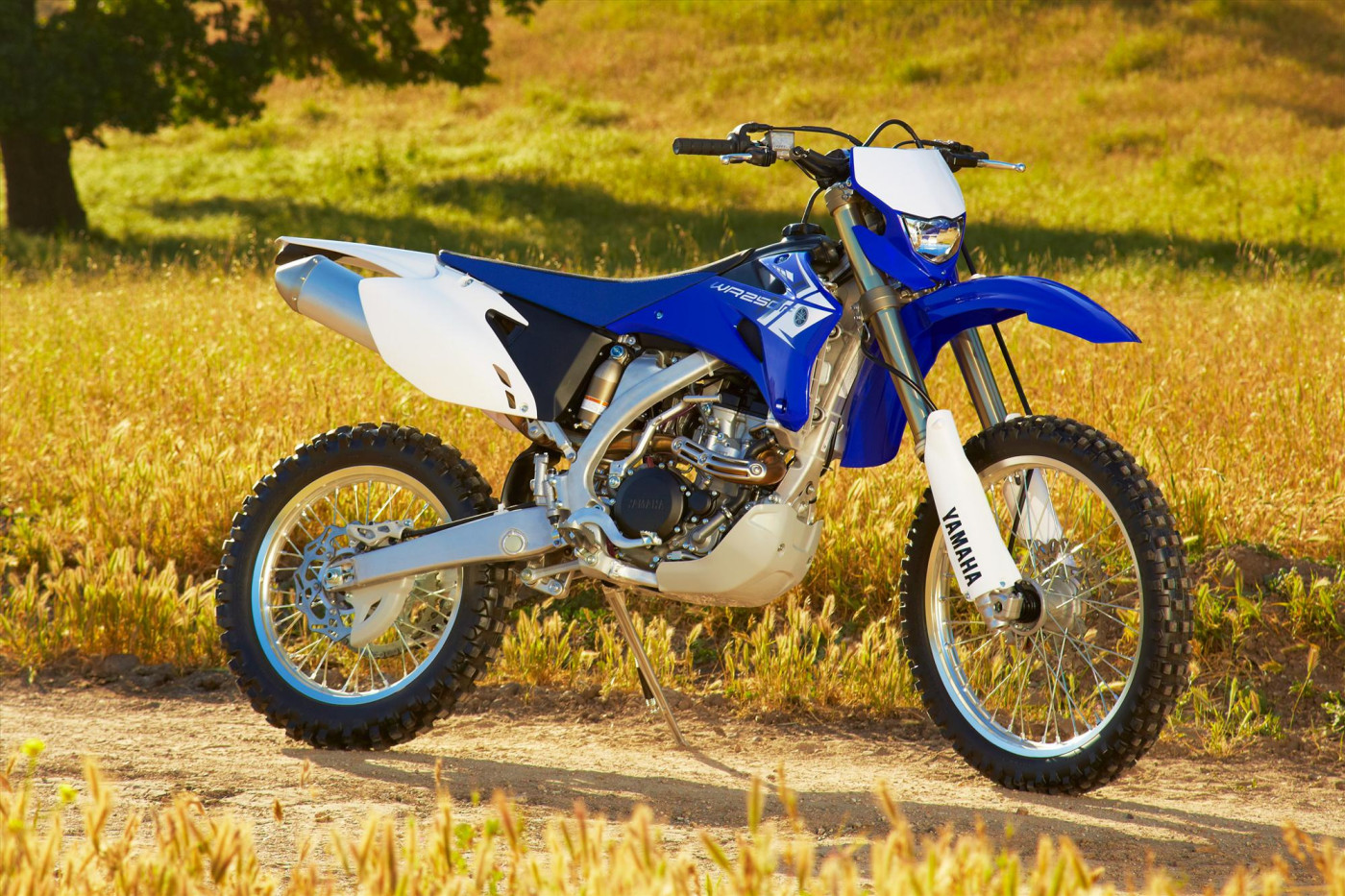 2015 WR 250 F