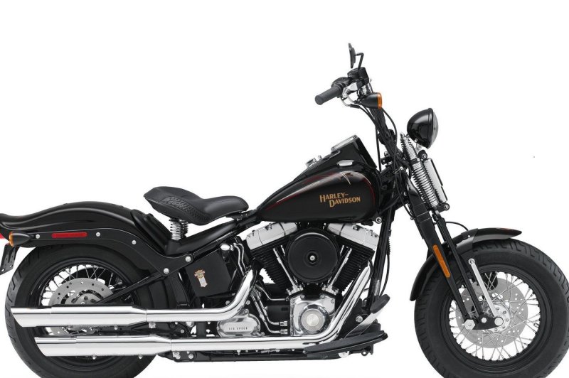 Harley-Davidson FLSTSB Softail Cross Bones: фото, характеристики