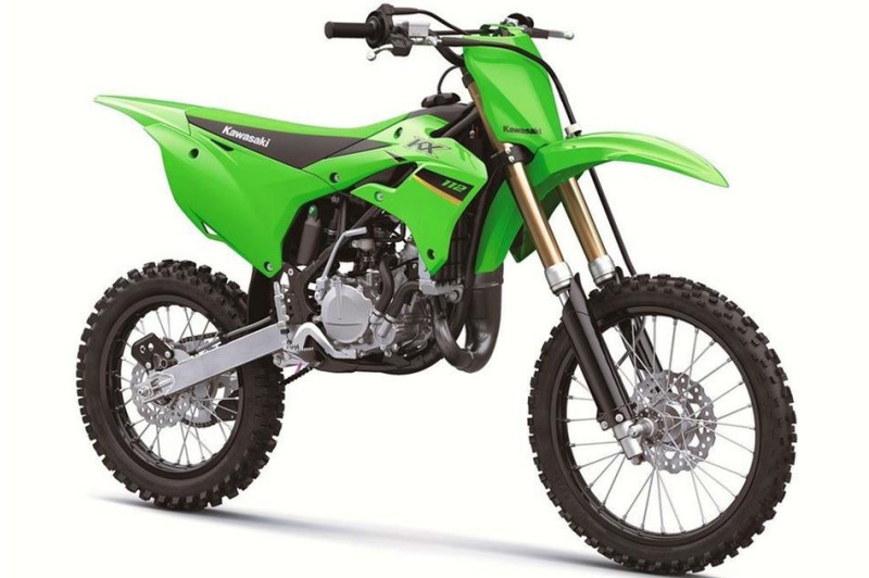 2020 deals kawasaki kx100