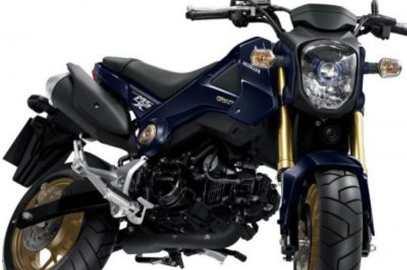 Honda MSX 125 2014 Motorcycles  Photos Video Specs Reviews  BikeNet