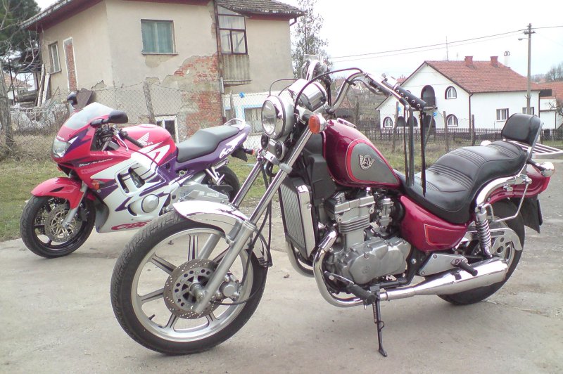 Andragende gnier stavelse Kawasaki EN 500, 1993 Motorcycles - Photos, Video, Specs, Reviews | Bike.Net