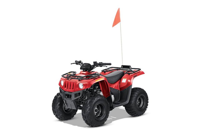 Suzuki QuadSport Z90, 2011 Motorcycles - Photos, Video, Specs