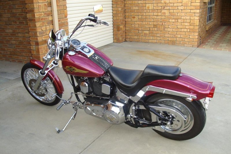 1992 store softail custom