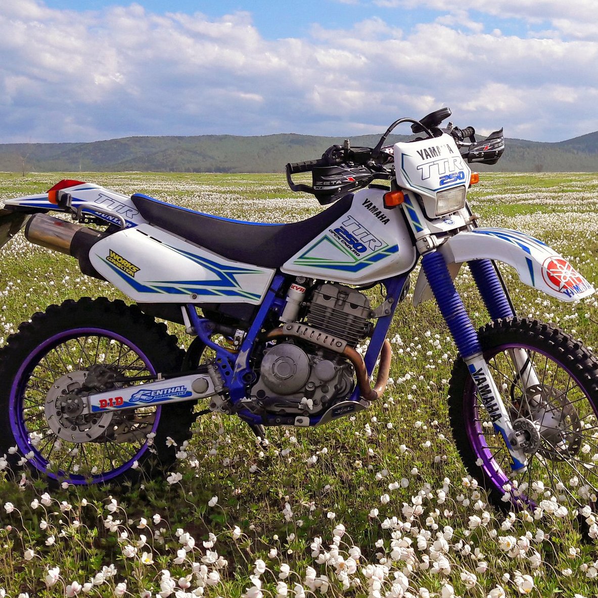 Ttr open enduro. Yamaha TTR 250. TTR 250 Raid. Ямаха ТТР 250 рейд. Ямаха ТТР 250 эндуро.