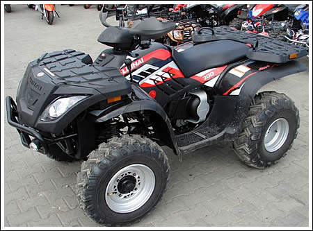 ATV Muddy 300