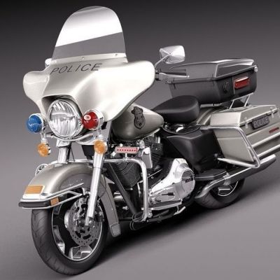 Electra Glide Police, 2013