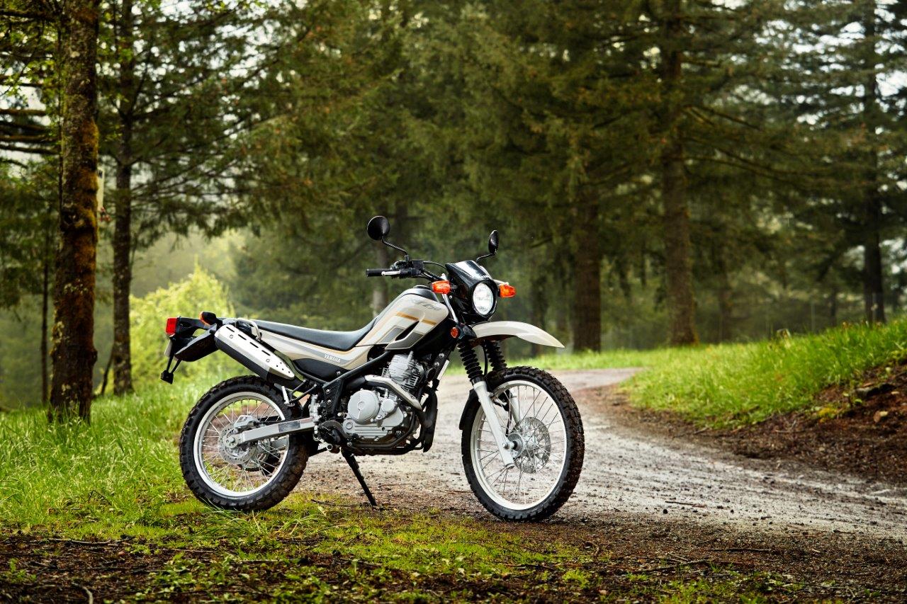 2020 YAMAHA XT250 SPECS visual data 5
