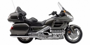 Gold Wing Airbag, 2010