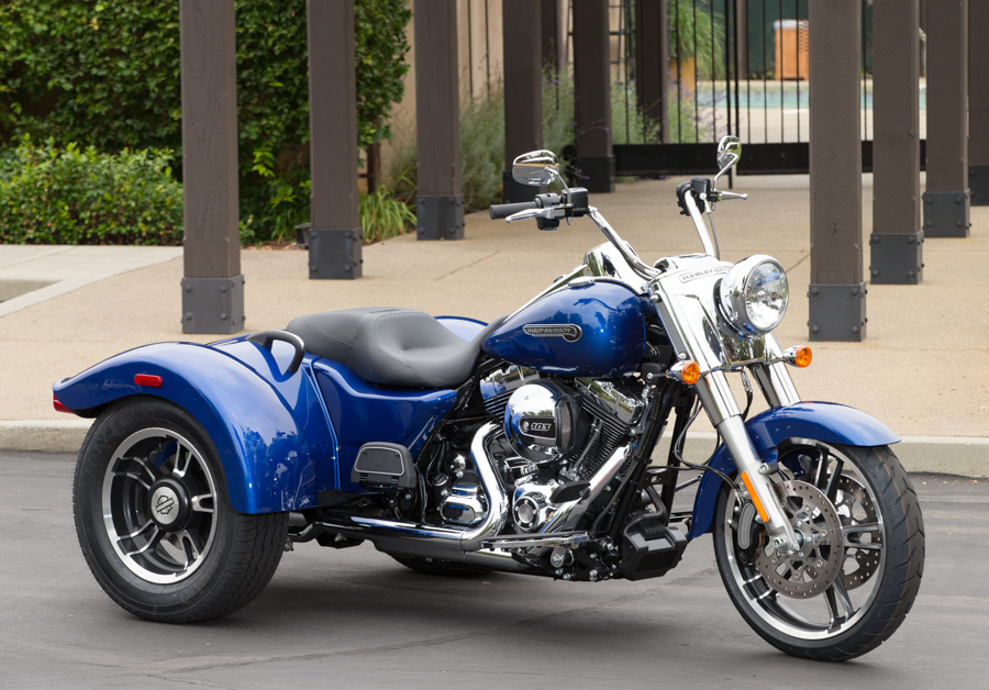 Harley Davidson 2009