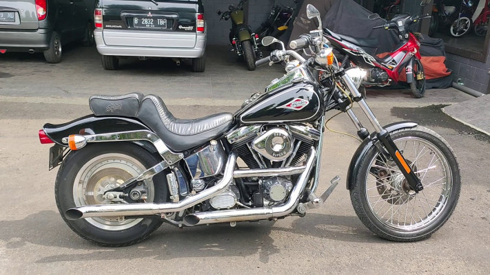 Мотоцикл Harley Davidson Softail Custom Evolution: история создания и особенности