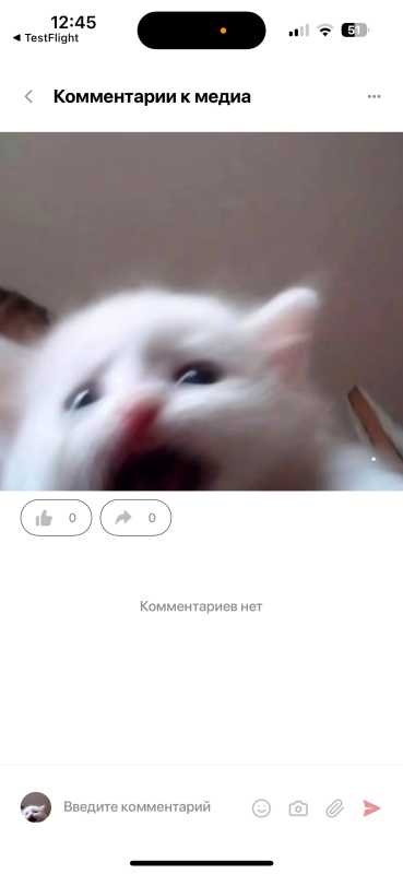 Моя компания