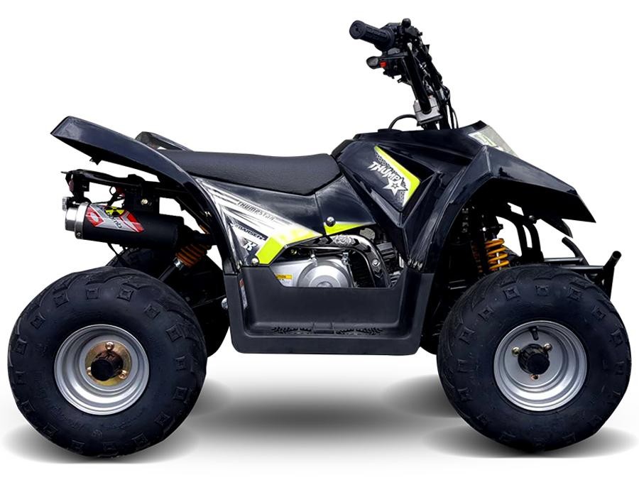 ATV 250 