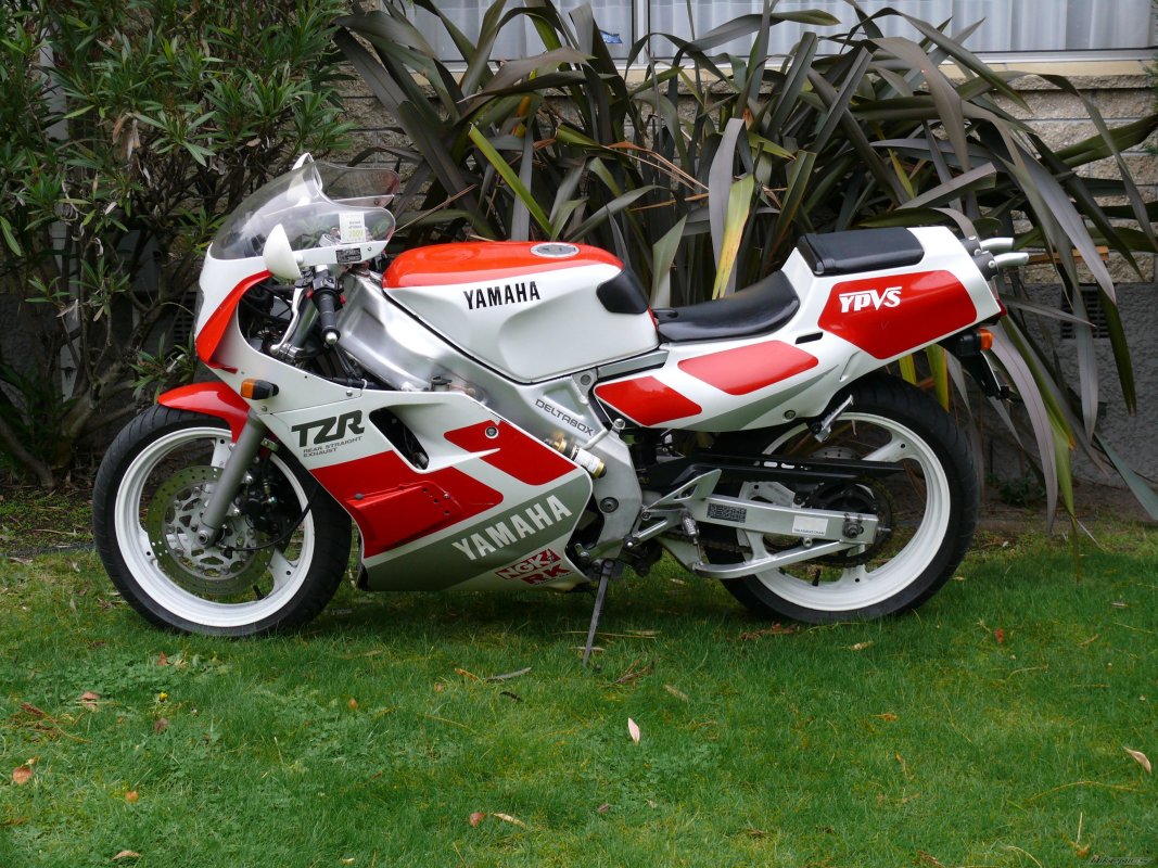 TZR 250, 1989