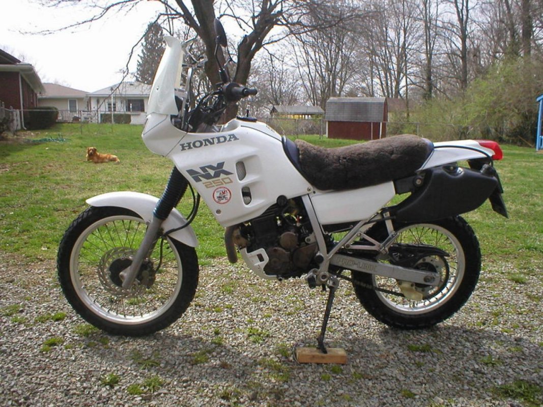 NX 250 (reduced effect), 1992