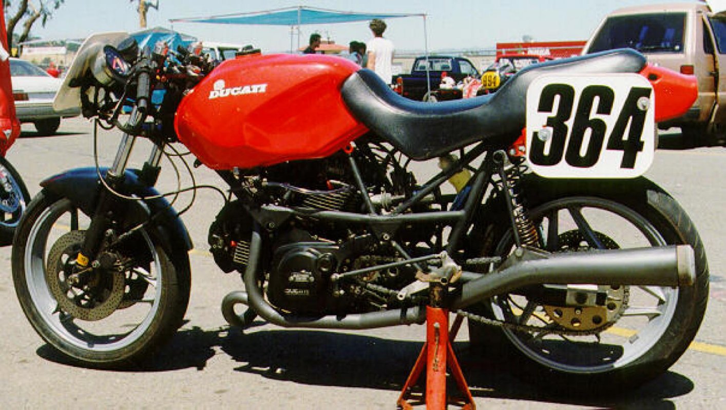 650 Alazzurra, 1991