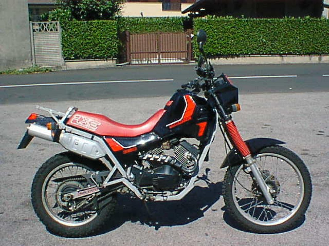 350 Kanguro, 1986